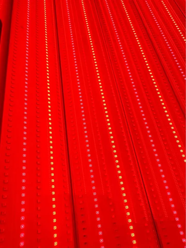 Merican M6N red light therapy bed LED array close-up at Naturally Bronzed, Great Neck NY